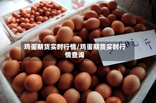 鸡蛋期货实时行情/鸡蛋期货实时行情查询