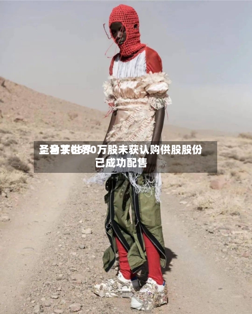 圣马丁世界：合共6690万股未获认购供股股份已成功配售