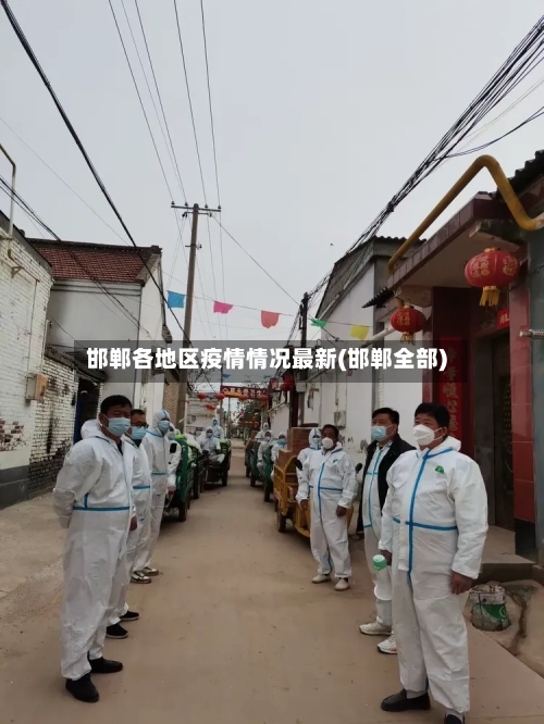 邯郸各地区疫情情况最新(邯郸全部)