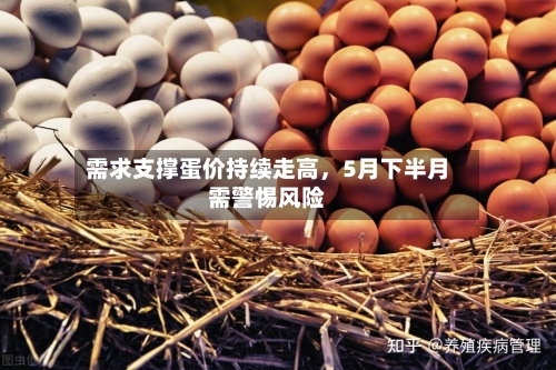 需求支撑蛋价持续走高，5月下半月需警惕风险-第3张图片