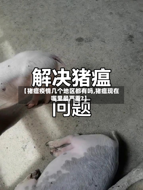 【猪瘟疫情几个地区都有吗,猪瘟现在哪里最严重?】