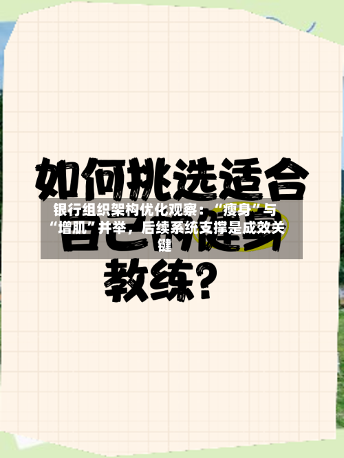 银行组织架构优化观察：“瘦身	”与“增肌”并举，后续系统支撑是成效关键-第3张图片
