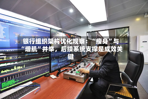 银行组织架构优化观察：“瘦身”与“增肌”并举，后续系统支撑是成效关键-第2张图片