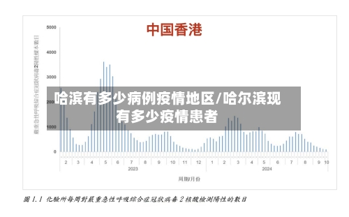 哈滨有多少病例疫情地区/哈尔滨现有多少疫情患者-第2张图片