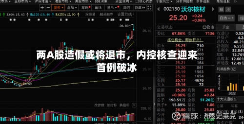 两A股造假或将退市，内控核查迎来首例破冰-第3张图片