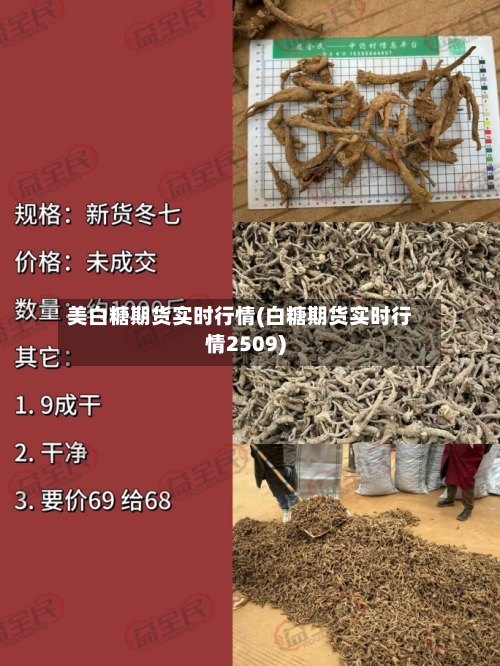 美白糖期货实时行情(白糖期货实时行情2509)