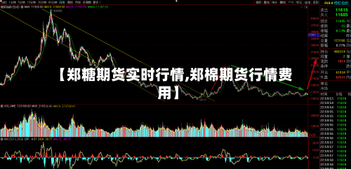 【郑糖期货实时行情,郑棉期货行情费用】