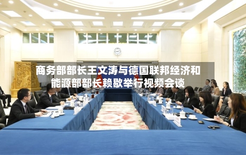 商务部部长王文涛与德国联邦经济和能源部部长赖歇举行视频会谈