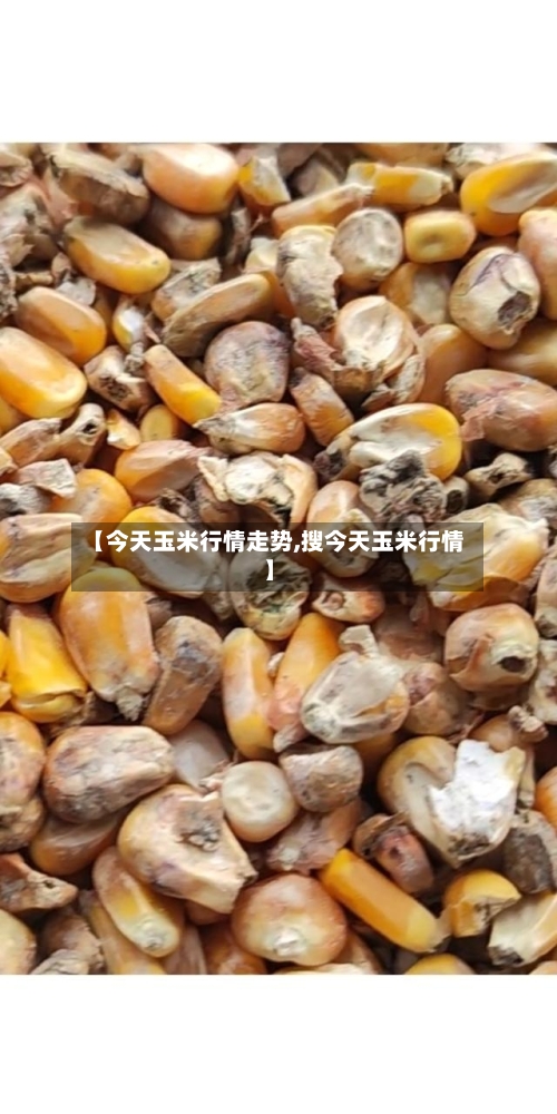 【今天玉米行情走势,搜今天玉米行情】