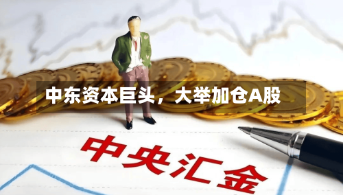 中东资本巨头	，大举加仓A股-第2张图片