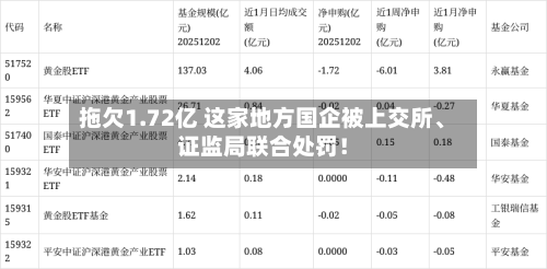 拖欠1.72亿 这家地方国企被上交所、证监局联合处罚！-第2张图片