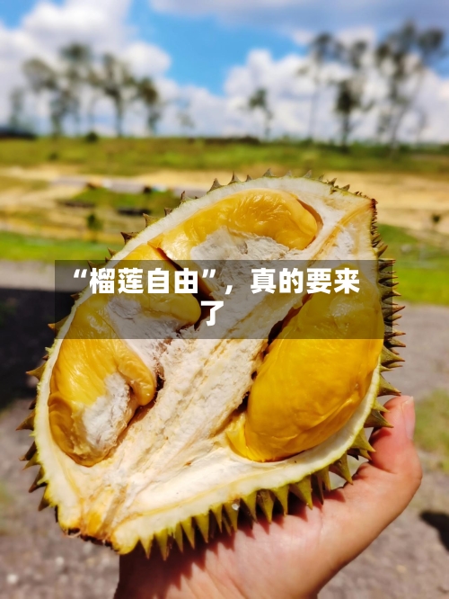 “榴莲自由”，真的要来了-第3张图片