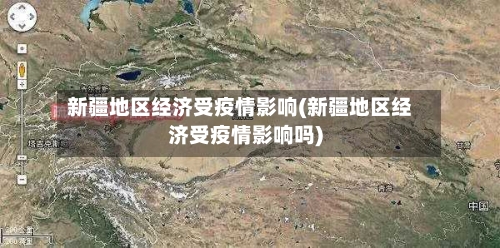 新疆地区经济受疫情影响(新疆地区经济受疫情影响吗)-第3张图片
