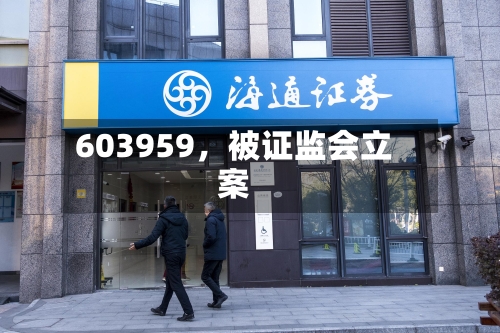 603959	，被证监会立案-第3张图片