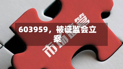 603959，被证监会立案-第2张图片
