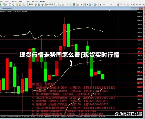 现货行情走势图怎么看(现货实时行情)