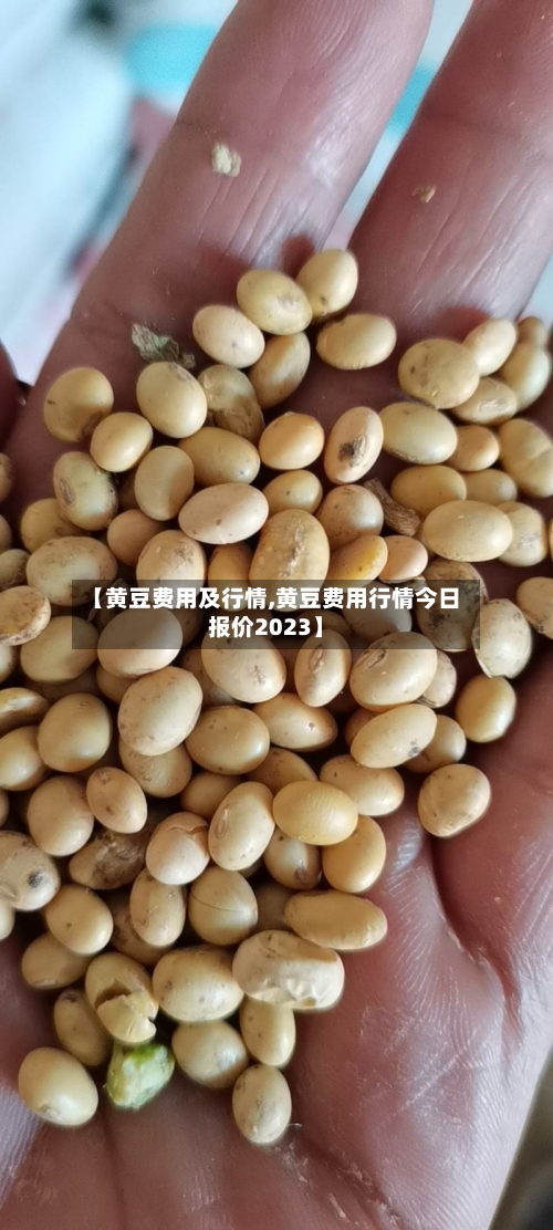 【黄豆费用及行情,黄豆费用行情今日报价2023】