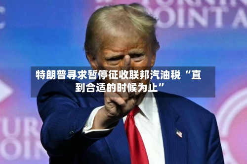 特朗普寻求暂停征收联邦汽油税 “直到合适的时候为止”-第2张图片