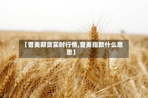 【普麦期货实时行情,普麦指数什么意思】-第2张图片