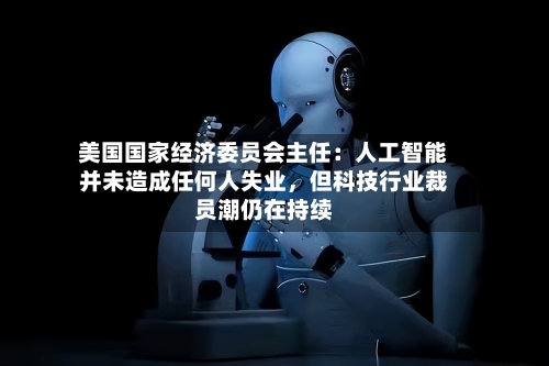 美国国家经济委员会主任：人工智能并未造成任何人失业	，但科技行业裁员潮仍在持续-第3张图片