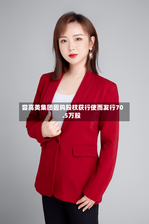 尝高美集团因购股权获行使而发行70.5万股