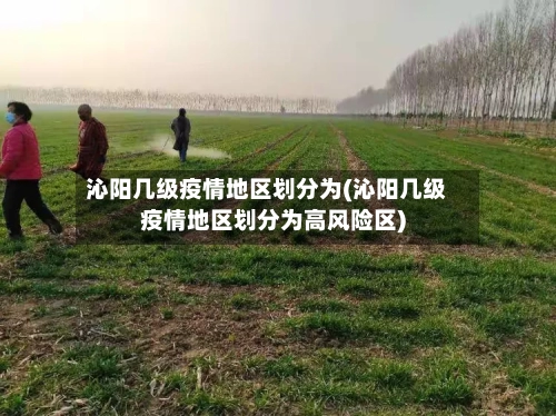 沁阳几级疫情地区划分为(沁阳几级疫情地区划分为高风险区)