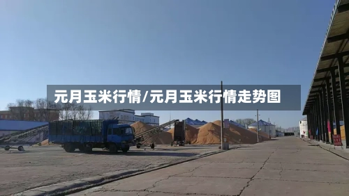 元月玉米行情/元月玉米行情走势图