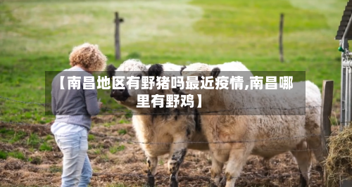 【南昌地区有野猪吗最近疫情,南昌哪里有野鸡】