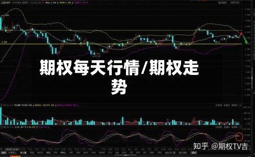 期权每天行情/期权走势