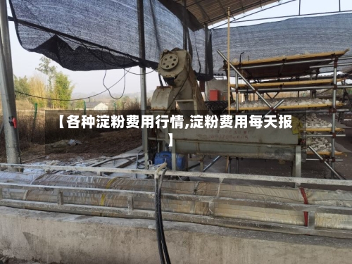 【各种淀粉费用行情,淀粉费用每天报】