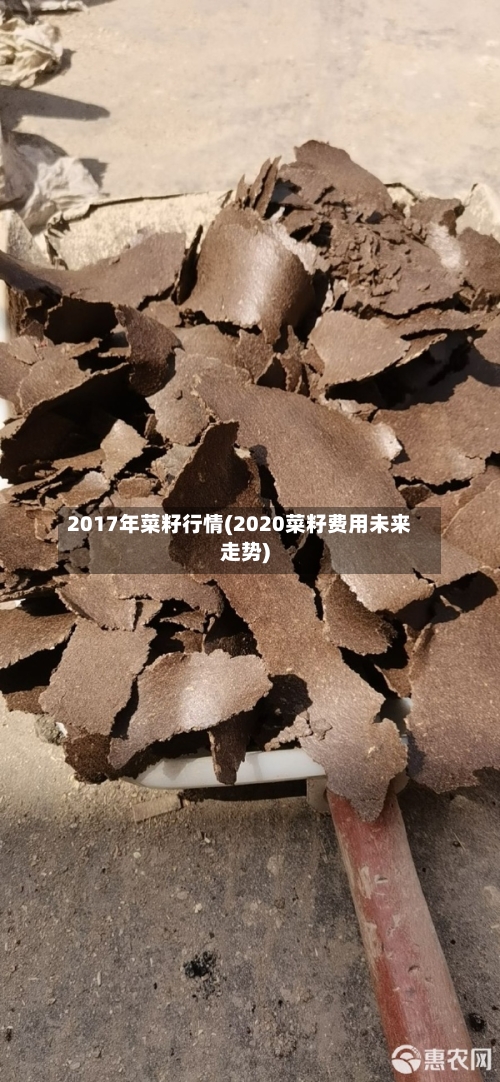 2017年菜籽行情(2020菜籽费用未来走势)