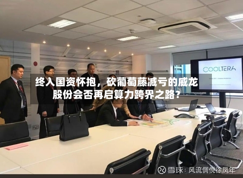 终入国资怀抱，砍葡萄藤减亏的威龙股份会否再启算力跨界之路？-第2张图片