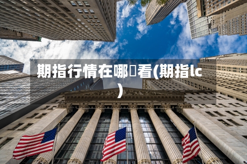 期指行情在哪裡看(期指lc)