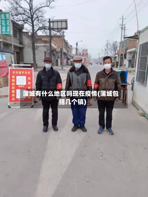 蒲城有什么地区吗现在疫情(蒲城包括几个镇)