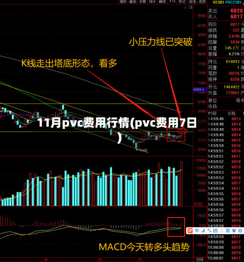 11月pvc费用行情(pvc费用7日)