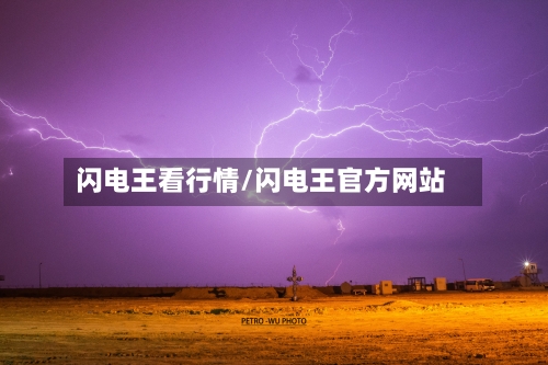 闪电王看行情/闪电王官方网站-第2张图片