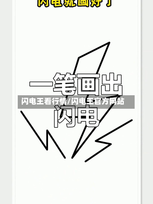 闪电王看行情/闪电王官方网站