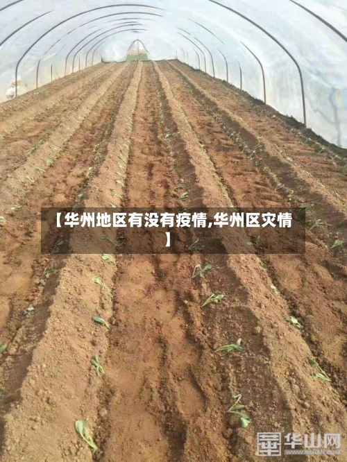 【华州地区有没有疫情,华州区灾情】