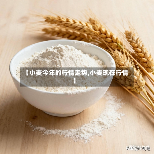 【小麦今年的行情走势,小麦现在行情】