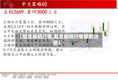 【期货棕榈行情,期货棕榈行情最新消息】