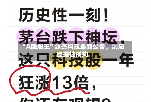 “A股股王”源杰科技最新公告，副总经理被刑拘-第2张图片