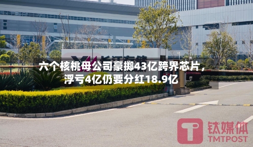 六个核桃母公司豪掷43亿跨界芯片，浮亏4亿仍要分红18.9亿-第2张图片