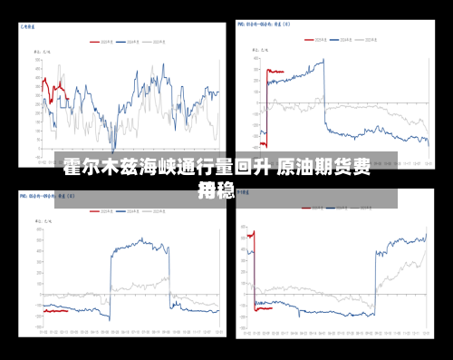 霍尔木兹海峡通行量回升 原油期货费用持稳