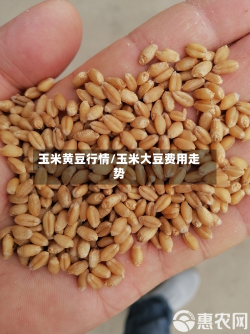 玉米黄豆行情/玉米大豆费用走势