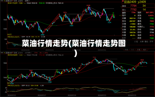 菜油行情走势(菜油行情走势图)