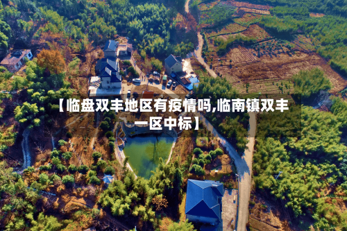 【临盘双丰地区有疫情吗,临南镇双丰一区中标】-第2张图片