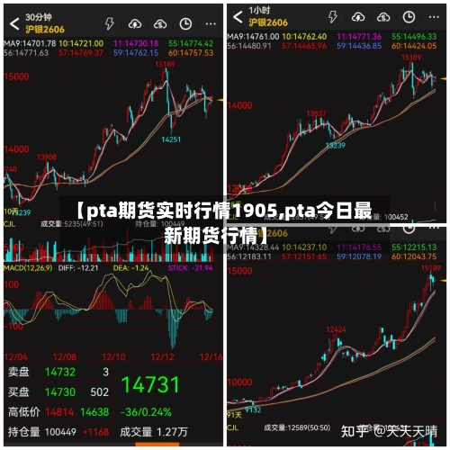 【pta期货实时行情1905,pta今日最新期货行情】