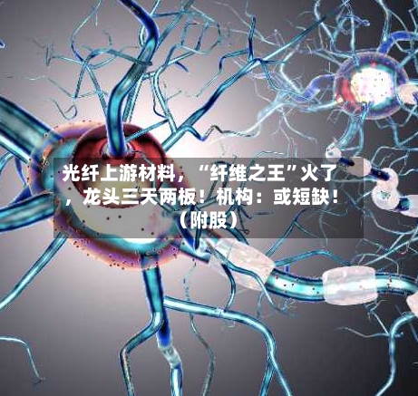 光纤上游材料，“纤维之王	”火了	，龙头三天两板！机构：或短缺！（附股）-第2张图片