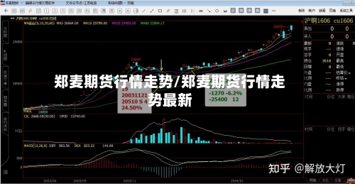 郑麦期货行情走势/郑麦期货行情走势最新