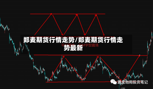 郑麦期货行情走势/郑麦期货行情走势最新-第3张图片